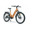 Rower elektryczny MS Energy C502 Pomarańczowy